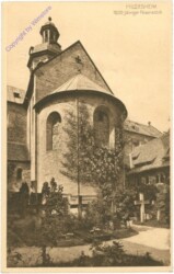 Hildesheim, 1000 jähriger Rosenstock