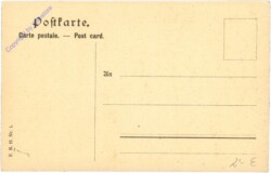 Hildesheim, 1000 jähriger Rosenstock