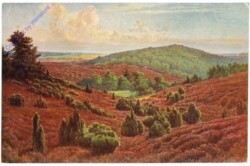 Lüneburger Heide