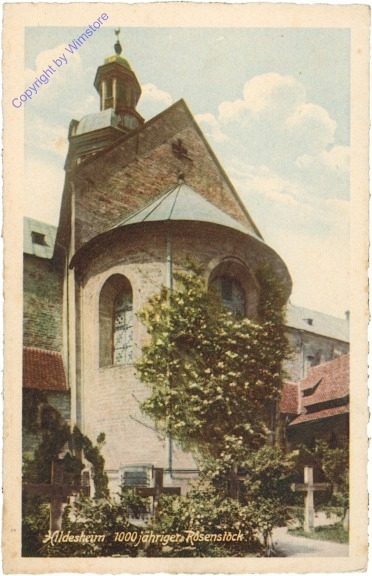 Hildesheim, 1000 jähriger Rosenstock