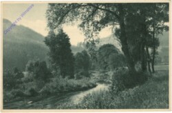 ak201111 Bensen, Polzental