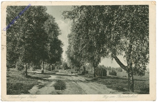 Lüneburger Heide, Weg am Büsenbachtal