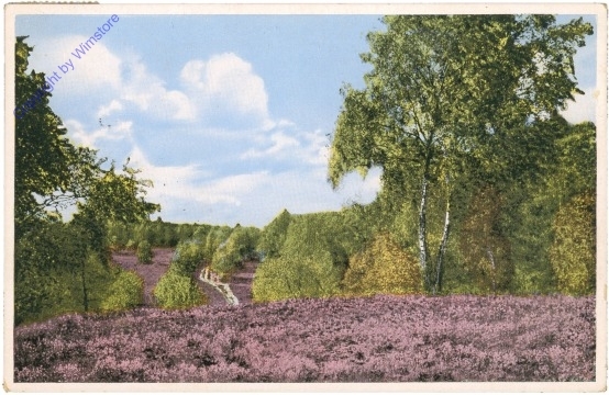 Lüneburger Heide