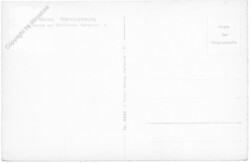 ak201384a Mainz, Mainmündung