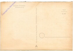 Bingen am Rhein, Nahemündung