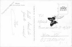 ak201416a Mainz, Dom