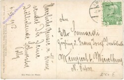 Caub, Die Pfalz im Rhein