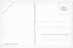 St. Goarshausen, Burg Maus