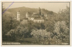 Eulenberg, Kirschblüte