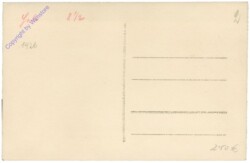 Eulenberg, Kirschblüte