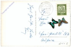 Speyer am Rhein, Kaiserdom