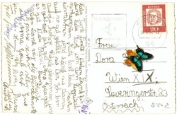 ak201518a Stolzenfels, Schloss