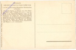 Rammenau, Die runde Buche