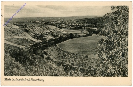 ak201719 Nauburg, Blick ins Saaletal