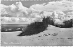 ak201800 Dahme, Dünen am Meeresstrand