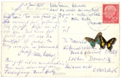 ak201812a Kampen / Sylt, Kurhaus "Haus Meeresblick"