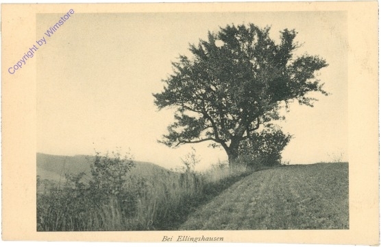 Ellingshausen, Ansicht