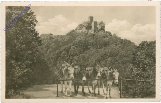Eisenach, Eselstand an der Wartburg