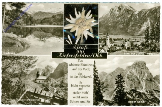 Kiefersfelden, Multiansicht mit Edelweiß