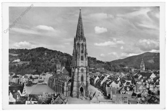 Freiburg / Schwarzwald, Das Münster