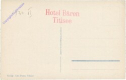 Titisee, Ansicht