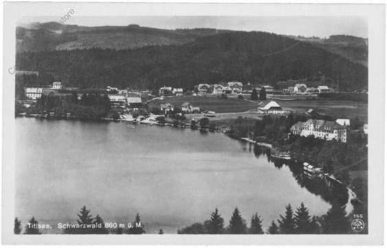 Titisee, Ansicht