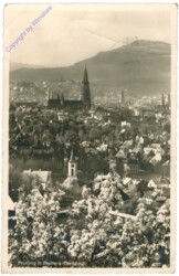 Freiburg, Frühling
