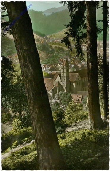 Alpirsbach, Ansicht