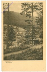ak202259 Wildbad, Ansicht