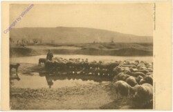 Hildenbrand, Nahaufnahme