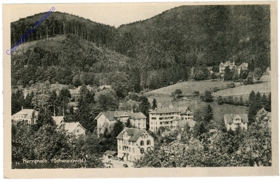 Herrenalb, Ansicht