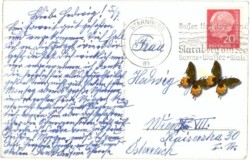 Berg, mit Alpenkette