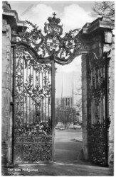 ak202394 Würzburg, Durchblick zur Johanniskirche