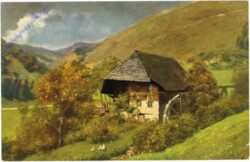 Schwarzwald, Mühle