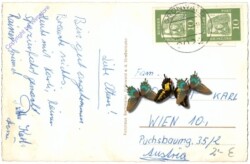 ak202501a Grünwald, Schloß Grünwald im Isartal