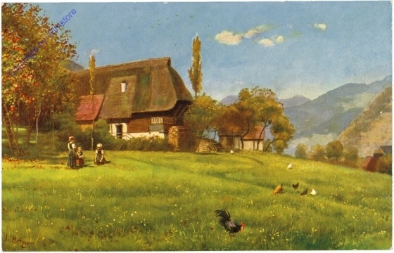 Schwarzwald, Haus auf der Höhe