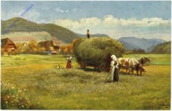 Schwarzwald, Heuernte