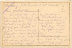 Nürnberg, Schöner Brunnen mit Frauenkirche