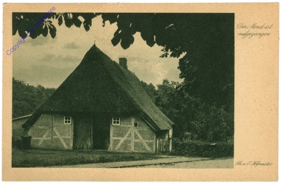 Hofmeister Th.: Der Mond ist aufgegangen