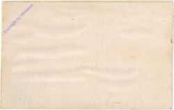 Fischer, S.: Die schöne Madonna