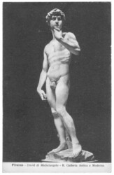 ak203165 Michelangelo, David