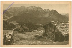 ak203277 Nebauer, E.: Almfrieden