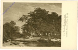 ak203290 Ruisdael, J.v.: Der große Wald