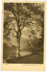 Koppel, C.: Tiefer See du gleichst der Seele