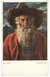 ak203320 Meran, Riss: Sarnthaler Bauer