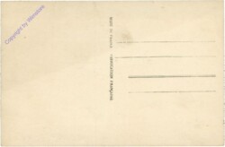 ak203331a Maschophore