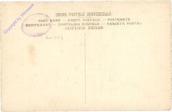 Bruyn: Portrait de Femme