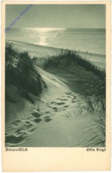 ak203384 Vogt, Otto: Dünenblick