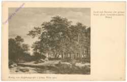 ak203407 Ruisdael, J.v.: Der große Wald