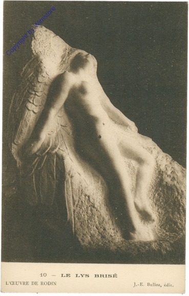 ak203411 Rodin: Le lys brise